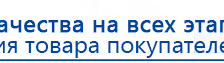 СКЭНАР-1-НТ (исполнение 02.2) Скэнар Оптима купить в Оренбурге, Аппараты Скэнар купить в Оренбурге, Медицинская техника - denasosteo.ru